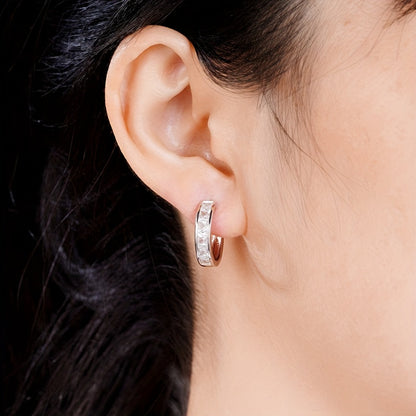 Simple zircon earrings, elegant and simple style, suitable for women's daily dating wear